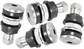 Bolt In Valve Stems - Chrome Finish