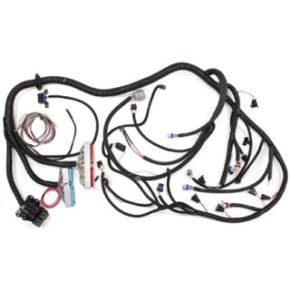 GM LS1 Wiring Harness  (Automatic Transmission)