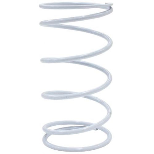 Wastegate Spring