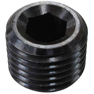 Steel NPT Plugs